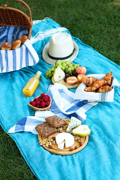 Picnic de verano en el azul a cuadros en el parque — Foto de Stock