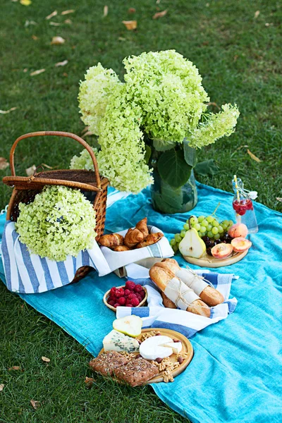 Zomer picknick op de blauwe Plaid in het Park — Stockfoto