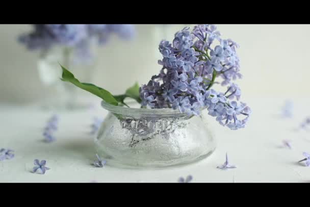 Lila bloemen in bloei in een glazen vaas. — Stockvideo