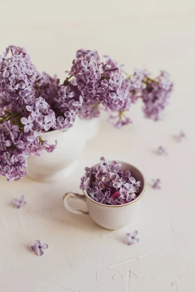 Purple spring lilac flowers still life on white