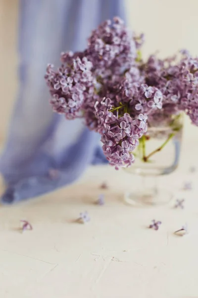 Púrpura primavera lila flores naturaleza muerta blanco — Foto de Stock