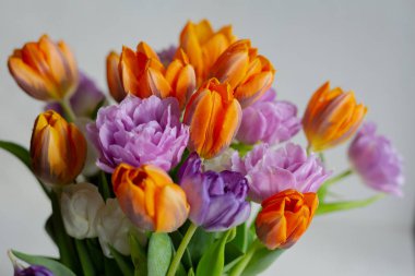 Güneşli bir günde renkli bahar lale bouquete