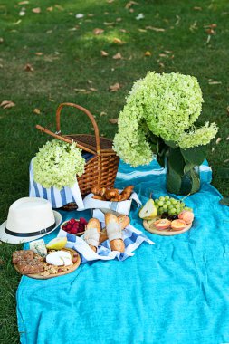 Parkta mavi ekose üzerinde yaz piknik