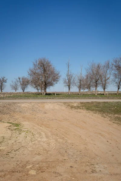 Un paisaje de pueblo de primavera durante el día —  Fotos de Stock