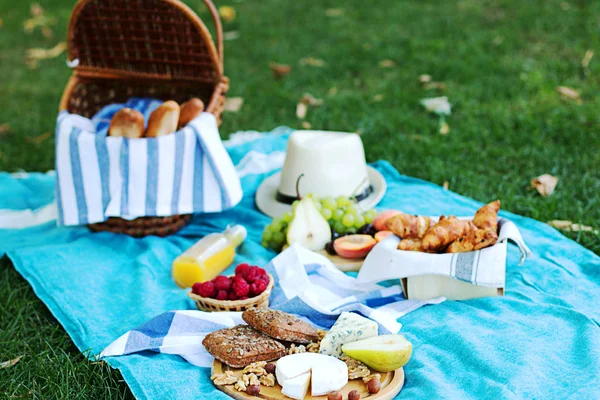 Picnic estivo sul plaid blu nel parco — Foto Stock