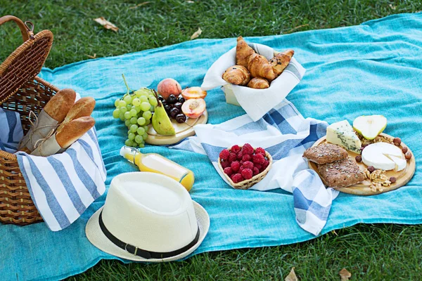 Picnic estivo sul plaid blu nel parco — Foto Stock