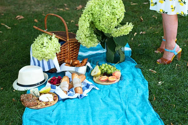 Summer picnic in the wood in the daytime
