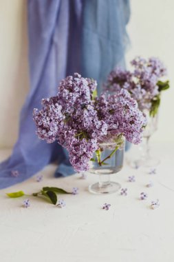 Mor bahar leylak çiçekler iyelik yaşam beyaz