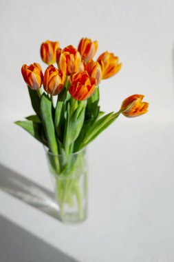 Beyaz bir vazo bahar turuncu lale