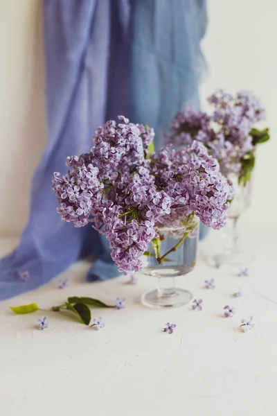 Mor bahar leylak çiçekler iyelik yaşam beyaz