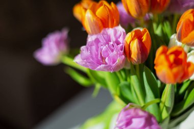 Güneşli bir günde renkli bahar lale bouquete