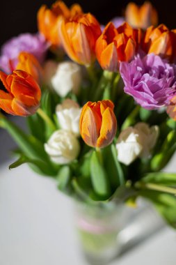 Güneşli bir günde renkli bahar lale bouquete