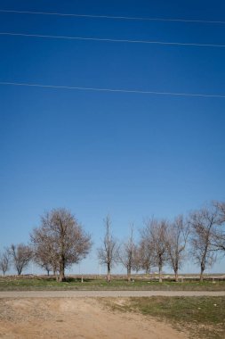 Gündüz bir bahar köyü manzara 