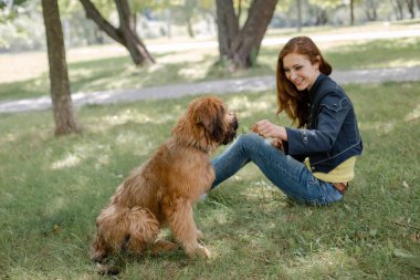 Sahibi ile oynayan bir köpek yavrusu Brie çoban köpeği