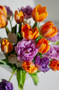 Güneşli bir günde renkli bahar lale bouquete