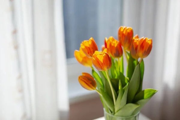 Tulipas laranja primavera em um vaso perto da janela Imagem De Stock