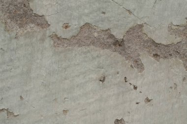 Eski Kireç sıva evin duvarına hasar