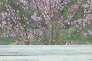 Çiçekli çalı arka planı beyaz tahtalar ahşap masa