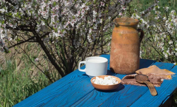 粘土の水差し カッテージ チーズ開花茂みの背景に青いボードのテーブルの上のカップ — ストック写真
