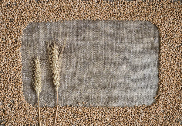 Wheat grain in the form of a frame on burlap. In the frame are wheat ears