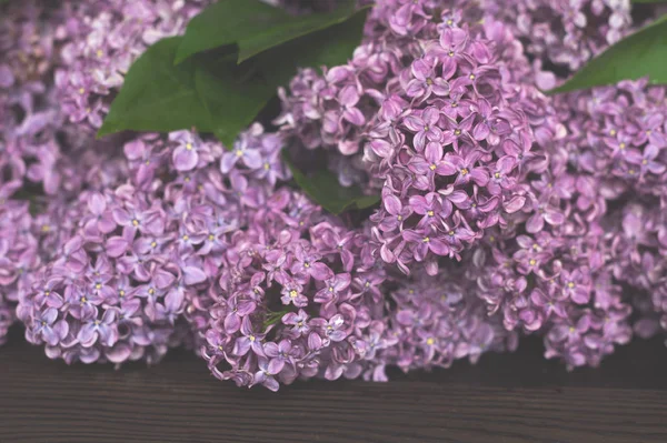 Lila Branch Een Donkere Houten Tafel — Stockfoto