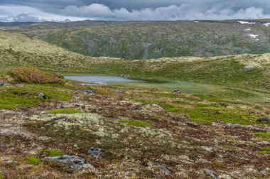 Aurlandstjellet Ulusal Turizm rota boyunca dağ manzarası. Flotane. Batı Norveç