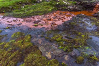 Aurlandstjellet Ulusal Turizm rota boyunca dağ manzarası. Flotane. Batı Norveç