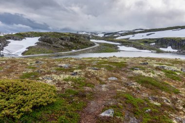 Aurlandstjellet Ulusal Turizm rota boyunca dağ manzarası. Flotane. Bjorgavegen. Batı Norveç