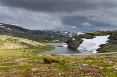 Aurlandstjellet Ulusal Turizm rota boyunca dağ manzarası. Flotan. Bjorgavegen. Batı Norveç
