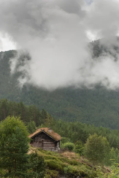 Travní Střecha Domu Norsko Staré Tradiční Dřevěné Chaty — Stock fotografie