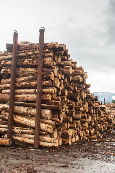 Wood of round timber stacked in a pile at the sawmill