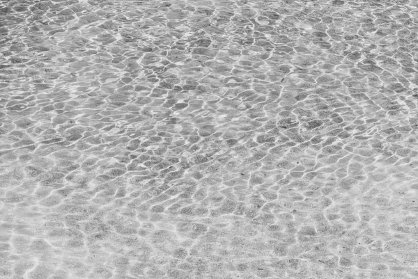 Refraction of light in clear water with small waves. Black and white photo