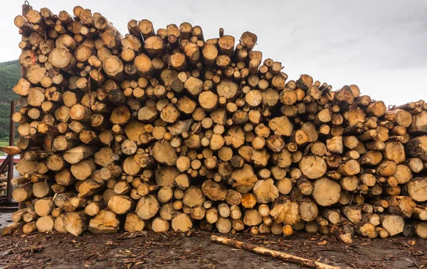 Wood of round timber stacked in a pile at the sawmill