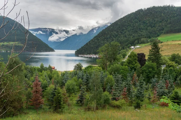 Pohled Kaupanger Sognefjord Kaupanger Město Rámci Sogndal Sogn Fjordane Norsko — Stock fotografie