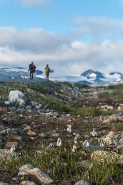 Turistler de yol Jotunheimen Milli Parkı, Norveç