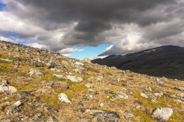 Jotunheimen Milli Parkı, Norveç'te moss ile büyümüş bir taşlı yamaç