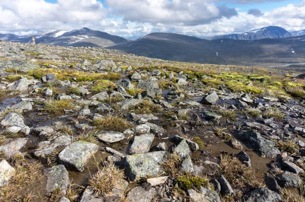 Moss Korstmossen Stenen Jotunheimen Nationaal Park Noorwegen — Stockfoto