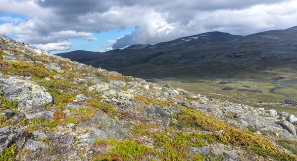 Een Steenachtige Helling Overwoekerd Met Mos Jotunheimen Nationaal Park Noorwegen — Stockfoto