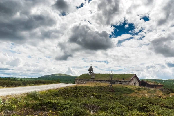 Travní Střecha Kostela Norsko Staré Tradiční Dřevěné Chaty — Stock fotografie