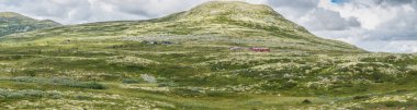 Tepeler sarı yosun kaplı. Rondane, Norveç Ulusal Turizm rotadan görüntüleyin. Panorama