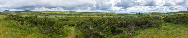 Roślinność Tundry Górach Norwegii Okolice Trasy Turystycznej Narodowego Rondane Panoramy — Zdjęcie stockowe