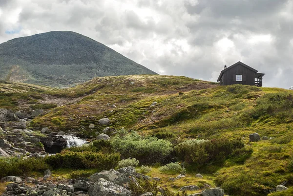 Moutons Une Petite Maison Dans Les Montagnes Norvège — Photo