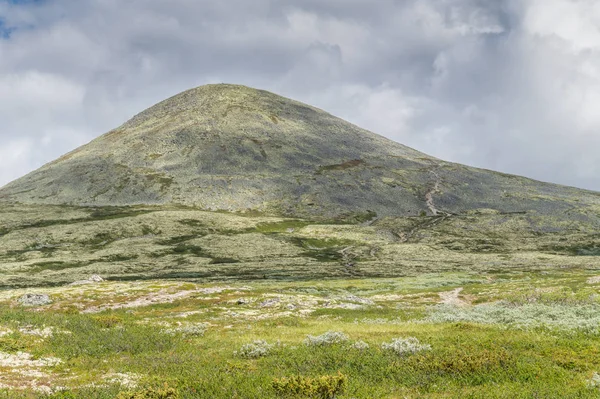 Hory Jsou Pokryté Žlutým Mechem Pohled Turistické Trasy Rondane Norsko — Stock fotografie