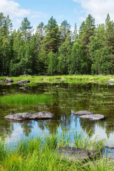 Abeto Verde Sobre Lago Azul Com Rochas Suécia — Fotografia de Stock