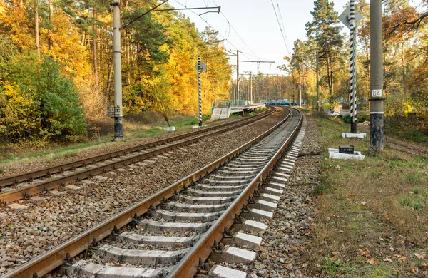 Demiryolu Parça Sonbahar Orman Arka Plan Üzerinde — Stok fotoğraf