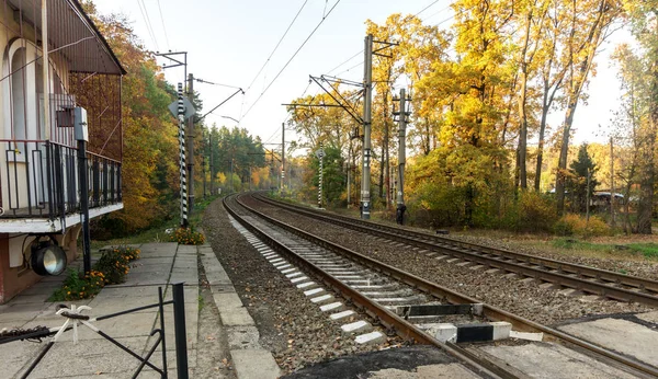 Järnvägsspåren Bakgrund Höstens Skog — Stockfoto
