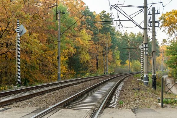 Railroad Tracks Achtergrond Van Herfst Bos — Stockfoto