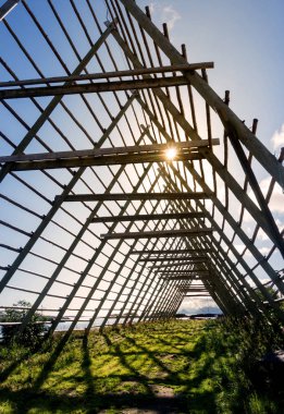 Ahşap raf kurutma morina, Lofoten Adalar, Norveç için. Ulusal Turizm yol Lofoten