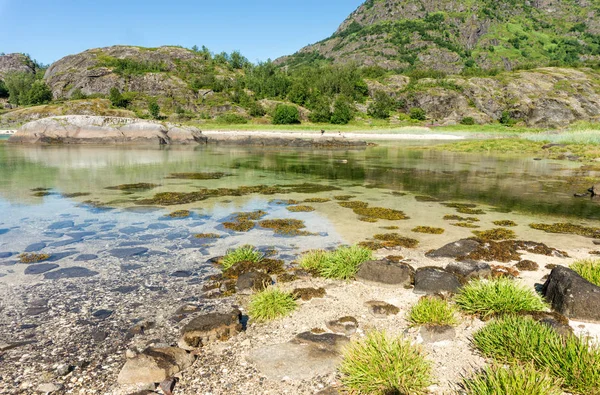 Turquoise Water Bay Stones Green Grass Summer Arsteinen Island Lofoten — Stock Photo, Image