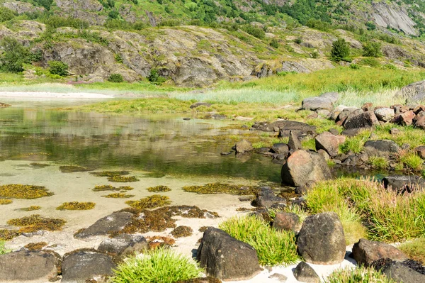 Turquoise Water Bay Stones Green Grass Summer Arsteinen Island Lofoten — Stock Photo, Image